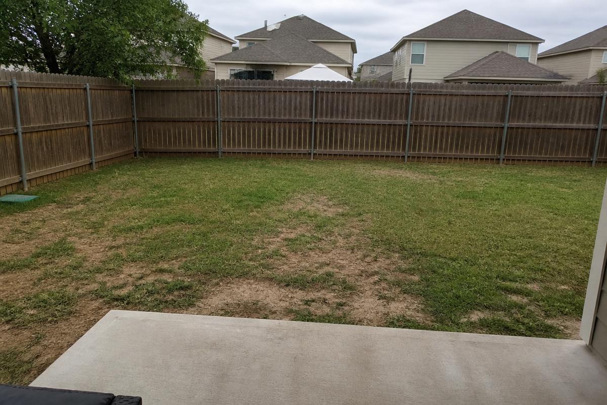 Patchy natural lawn before installation